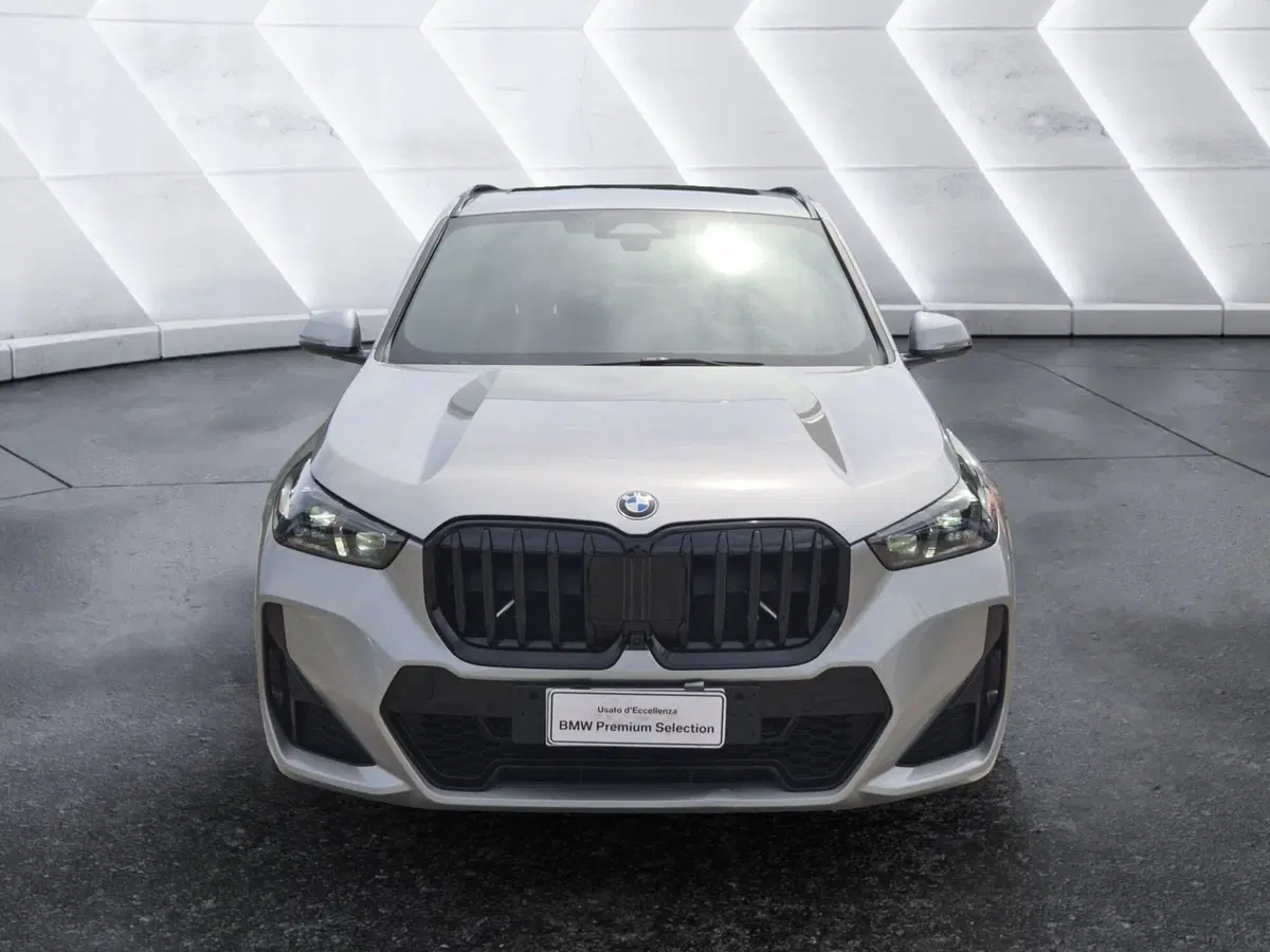 BMW X1 usata  (2)