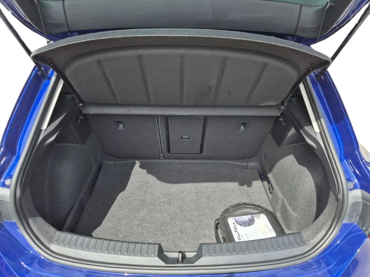 SEAT Leon usata  (12)