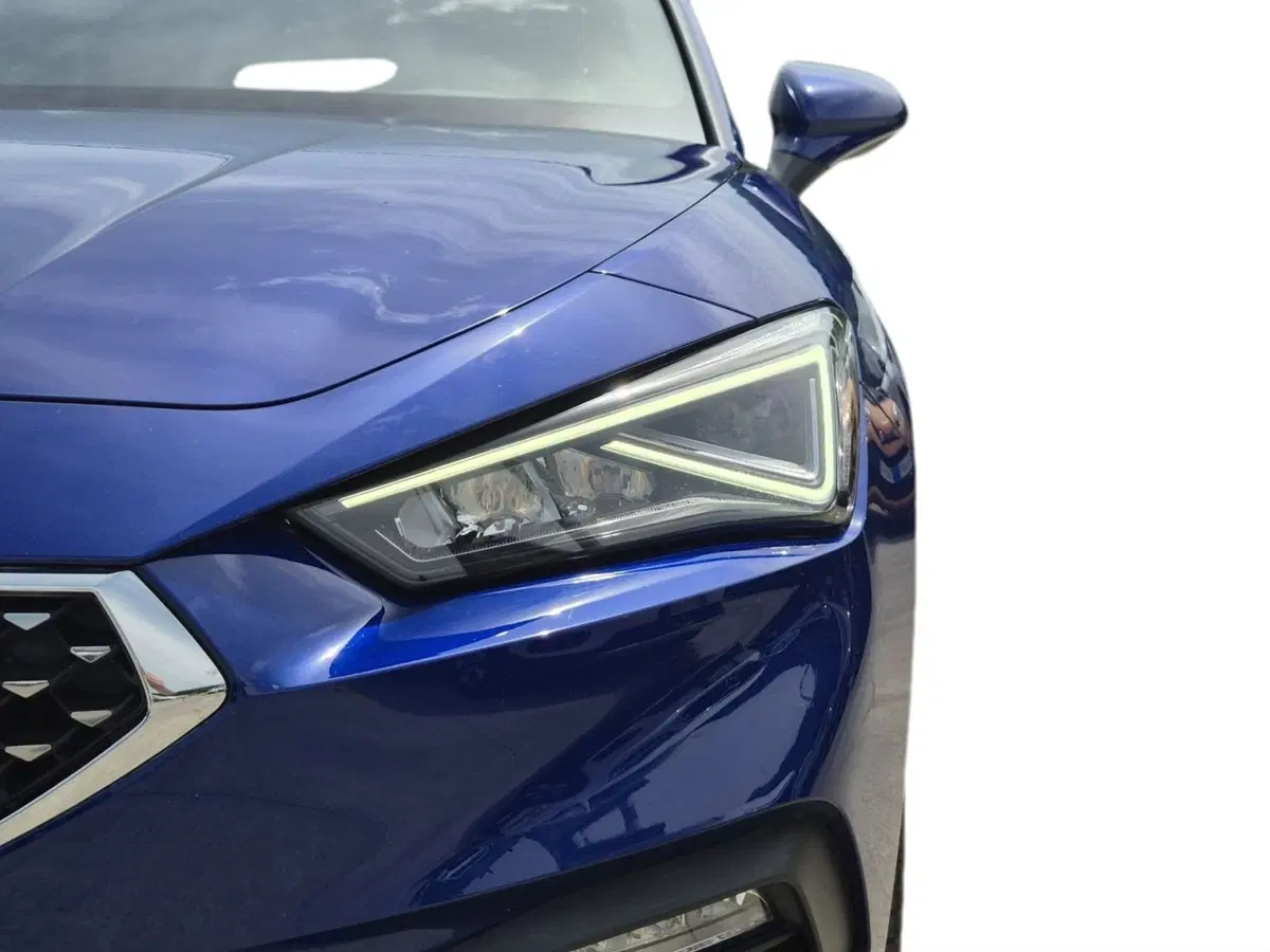SEAT Leon usata  (17)