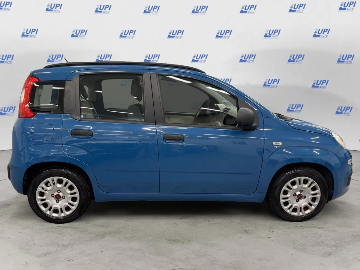 Fiat Panda usata a Pistoia (2)