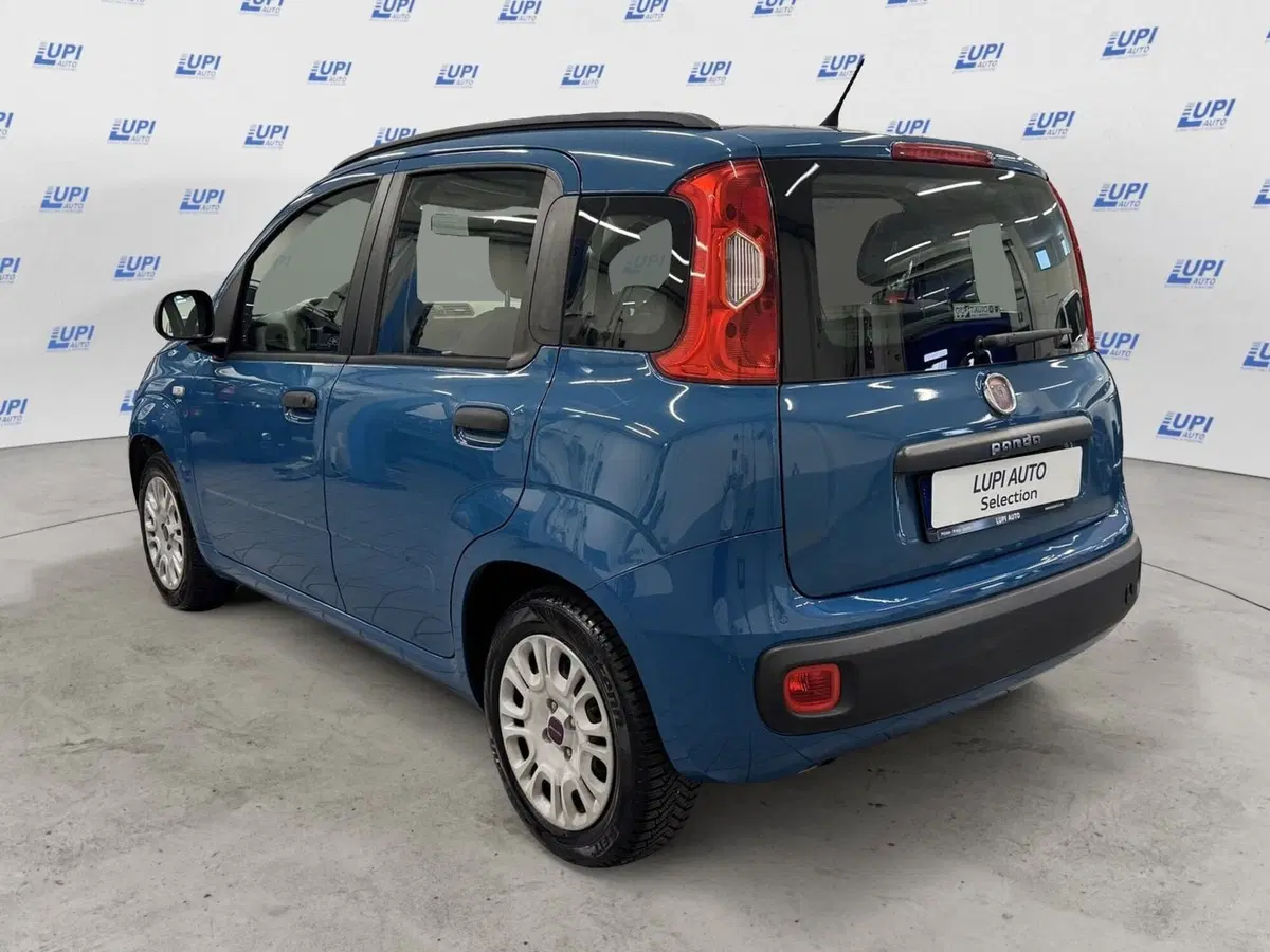 Fiat Panda usata a Pistoia (4)