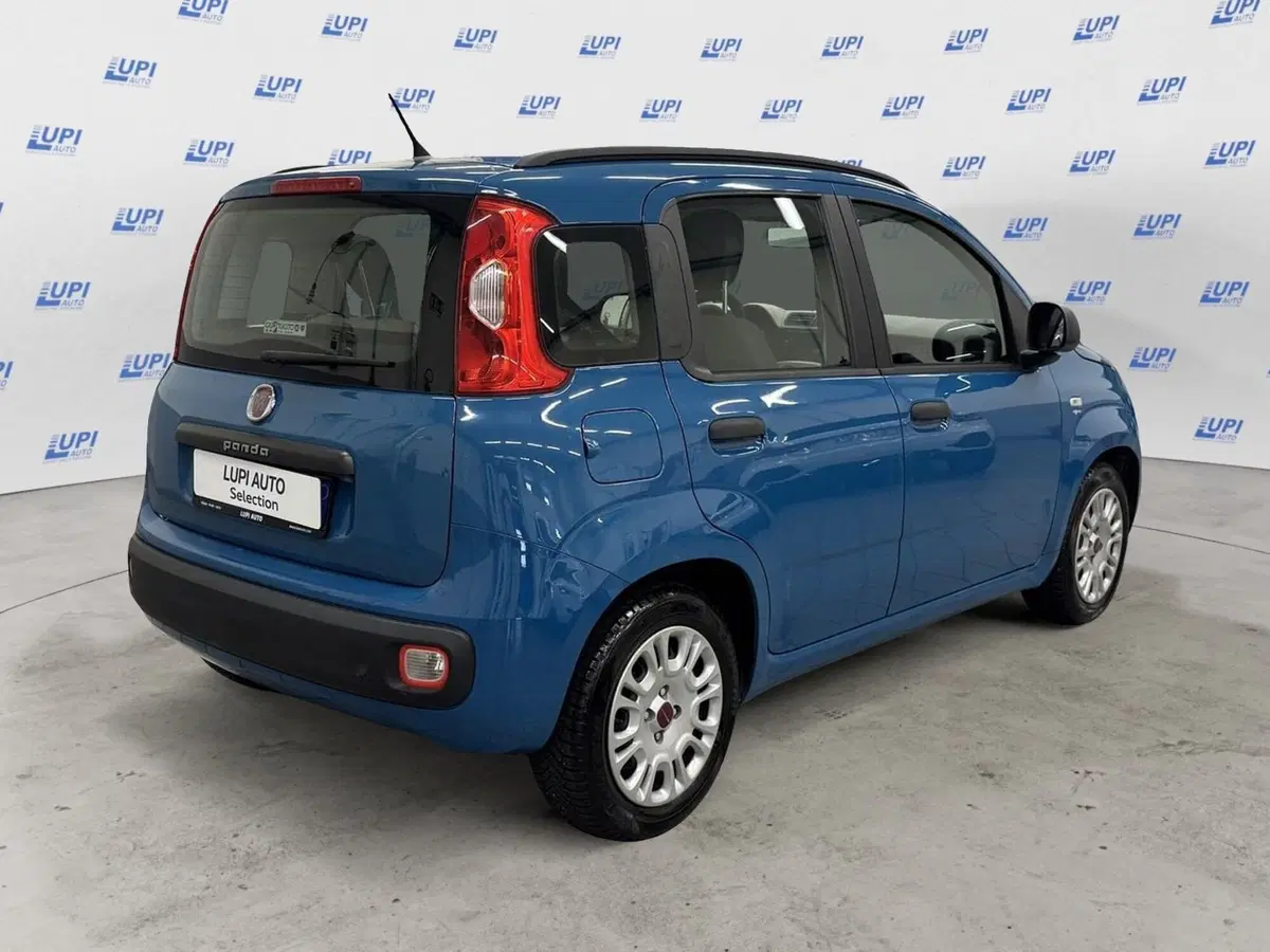 Fiat Panda usata a Pistoia (5)