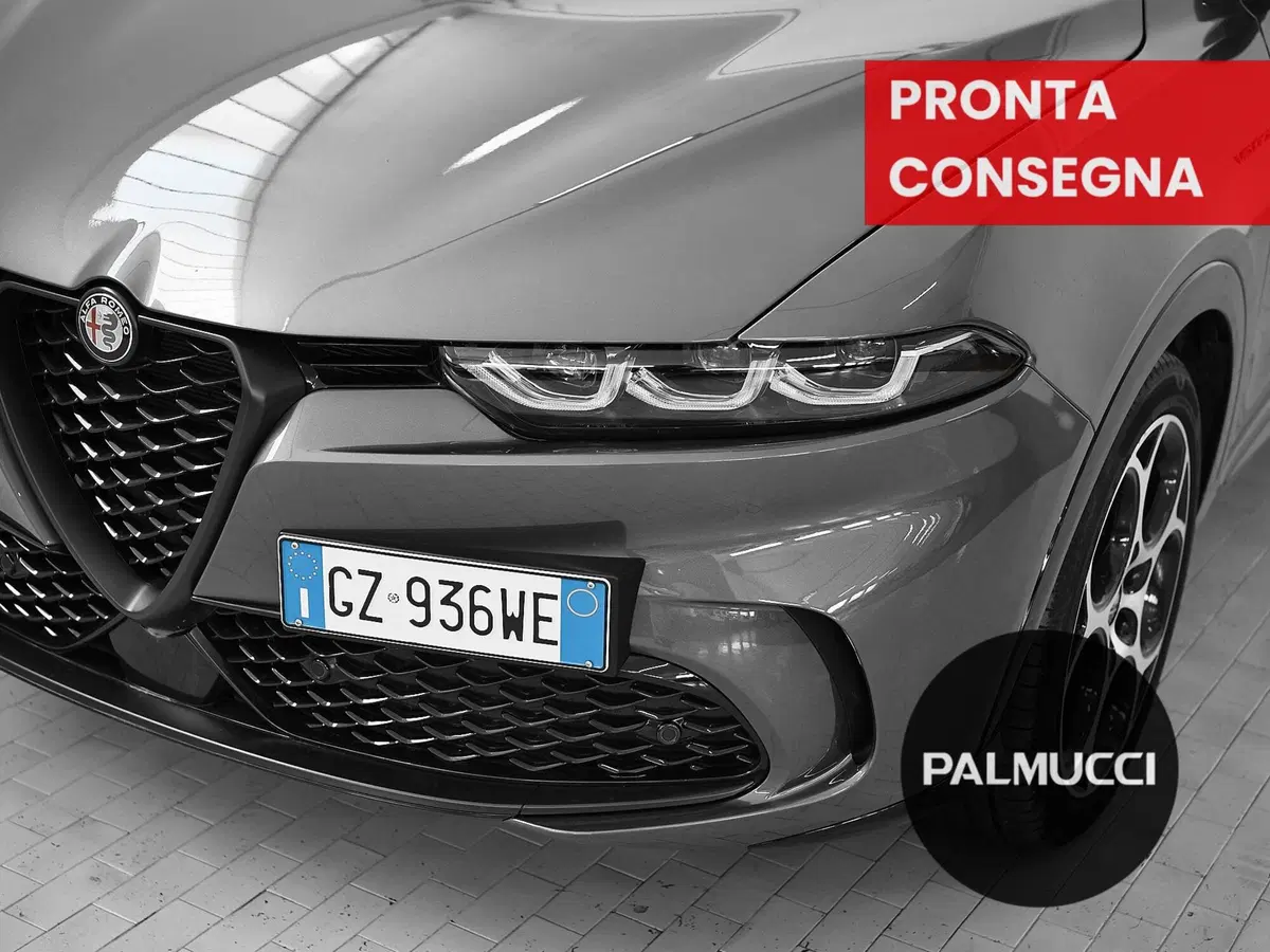 Alfa Romeo Tonale usata a Prato (7)