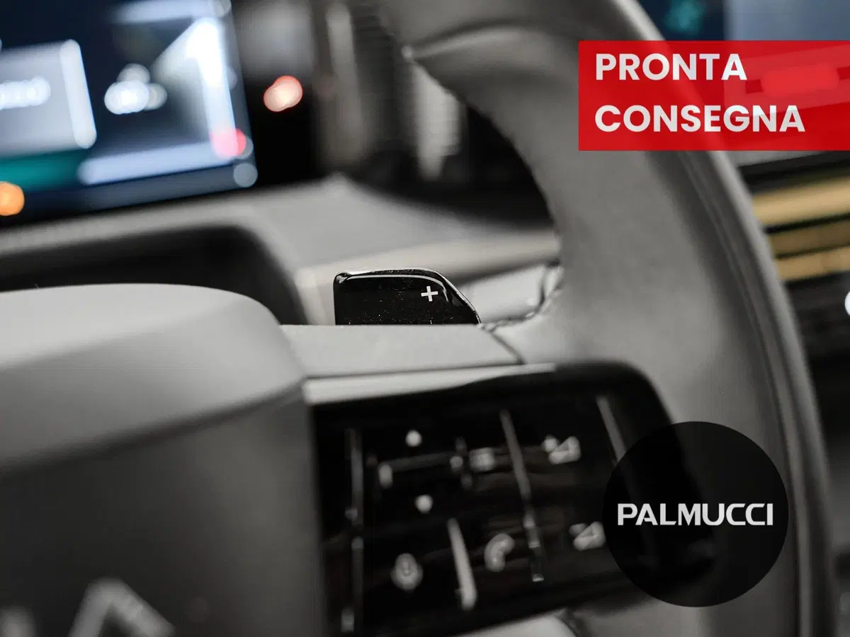 Lancia Ypsilon usata a Prato (18)