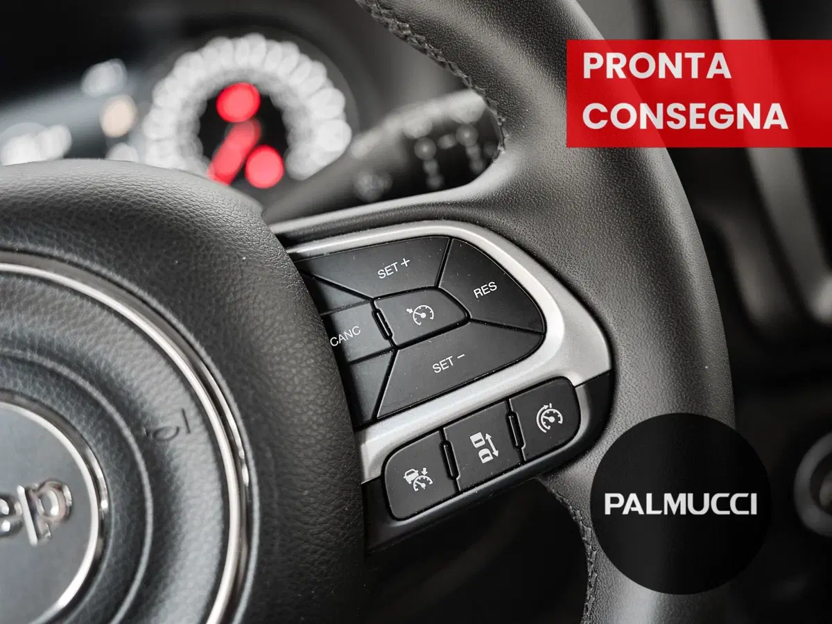 Jeep Renegade usata a Prato (15)