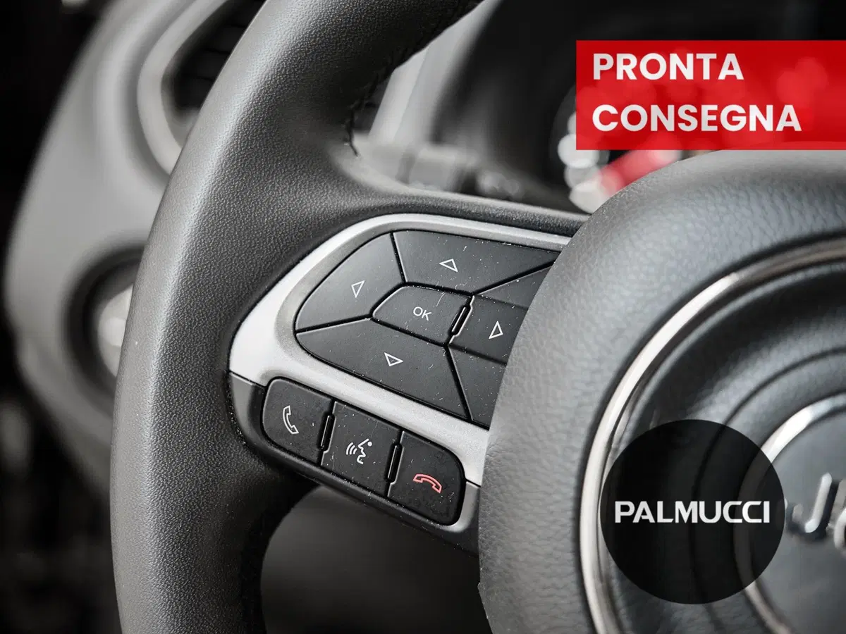 Jeep Renegade usata a Prato (19)