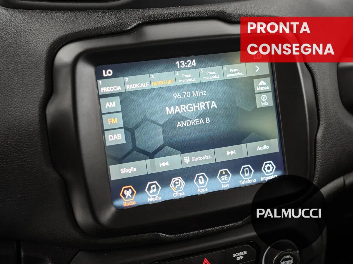 Jeep Renegade usata a Prato (20)