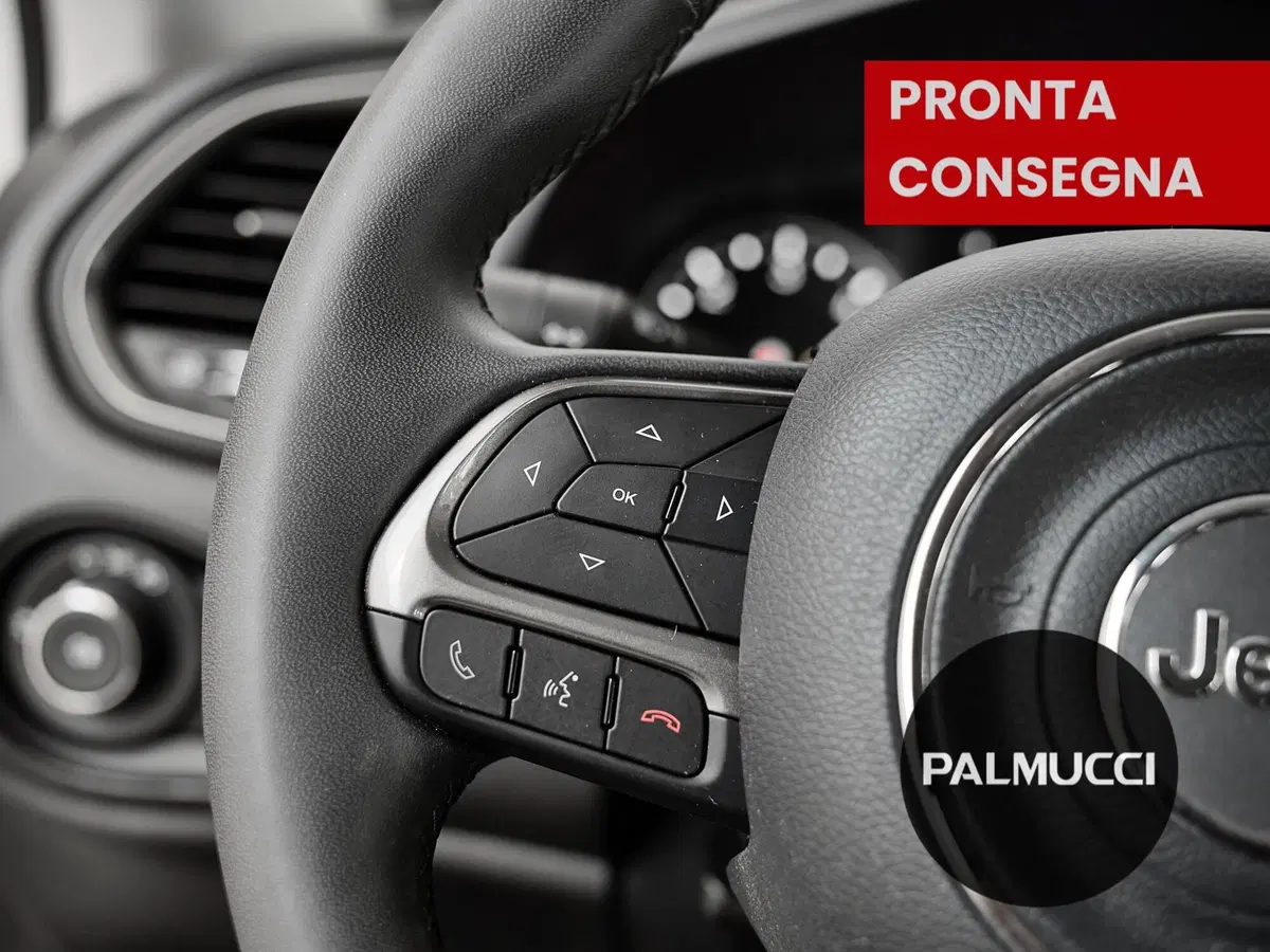 Jeep Renegade usata a Prato (11)