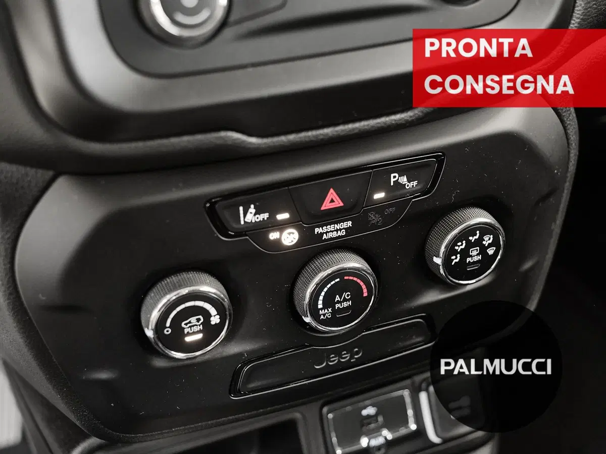 Jeep Renegade usata a Prato (14)