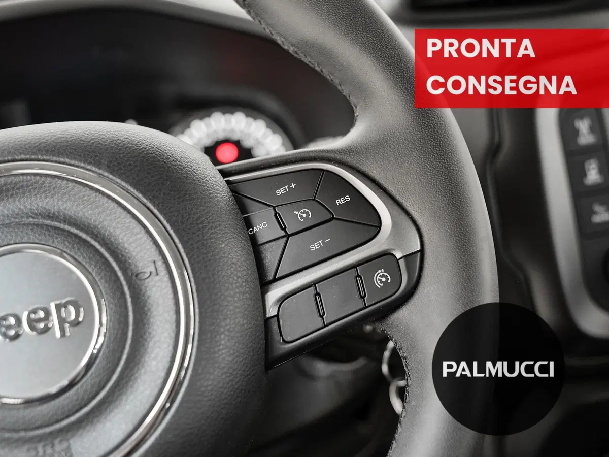 Jeep Renegade usata a Prato (18)