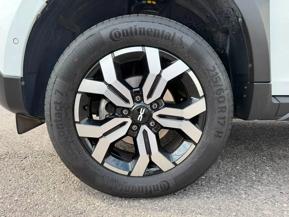 Dacia Duster usata a Brescia (19)