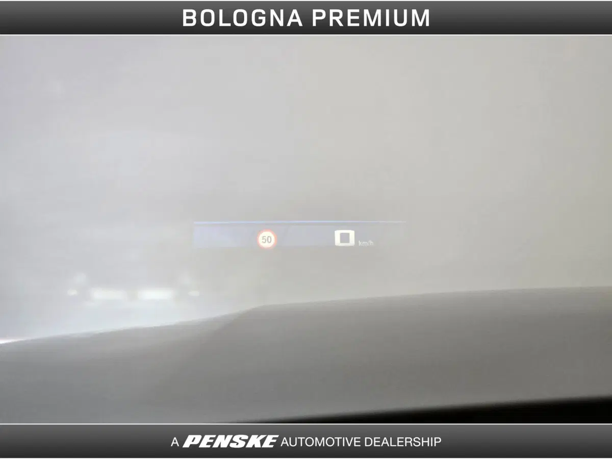 BMW Serie 3 Touring usata a Bologna (12)