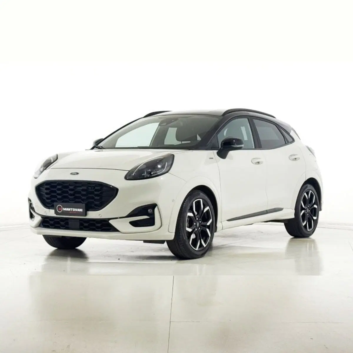 Ford Puma usata a Perugia