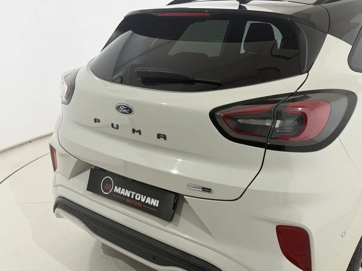 Ford Puma usata a Perugia (10)