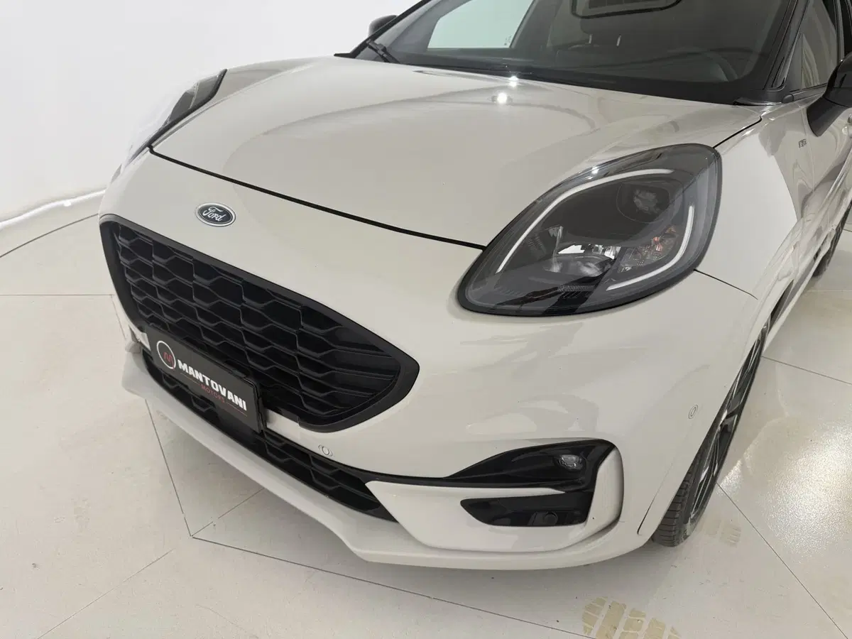 Ford Puma usata a Perugia (15)