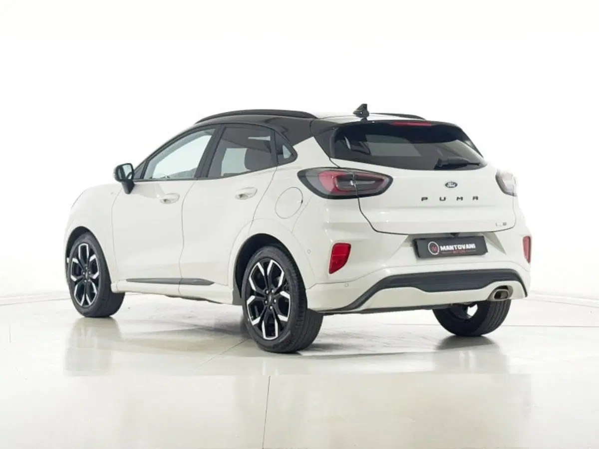 Ford Puma usata a Perugia (3)