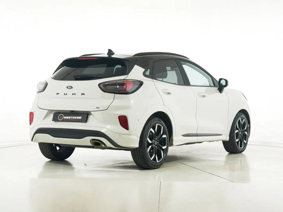 Ford Puma usata a Perugia (5)