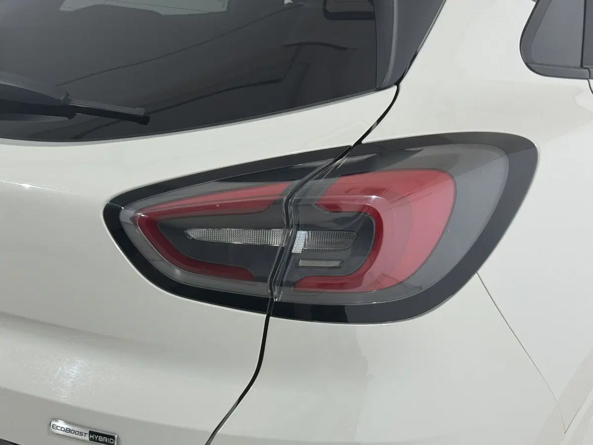 Ford Puma usata a Perugia (9)