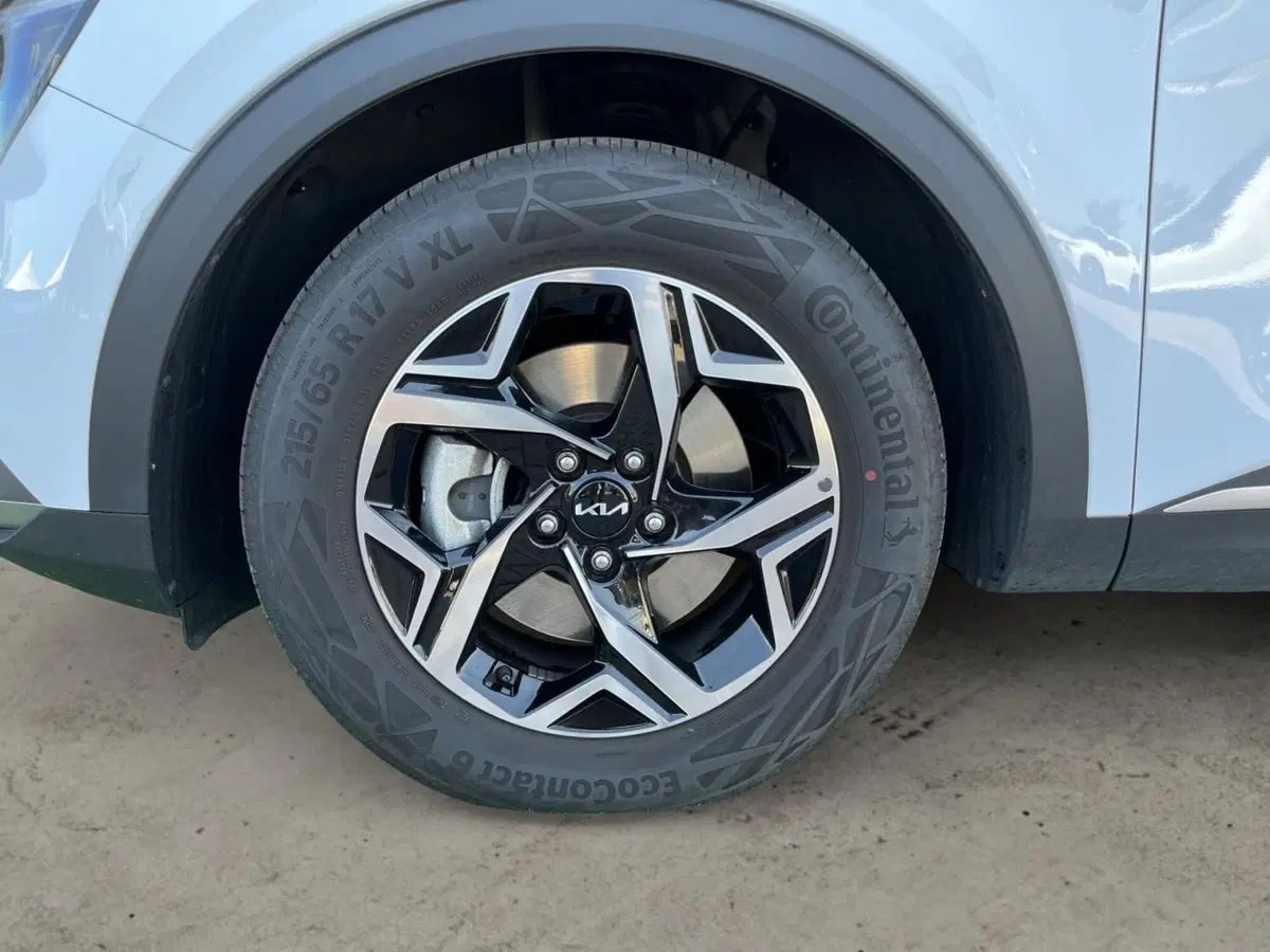 Kia Sportage usata a Vercelli (15)