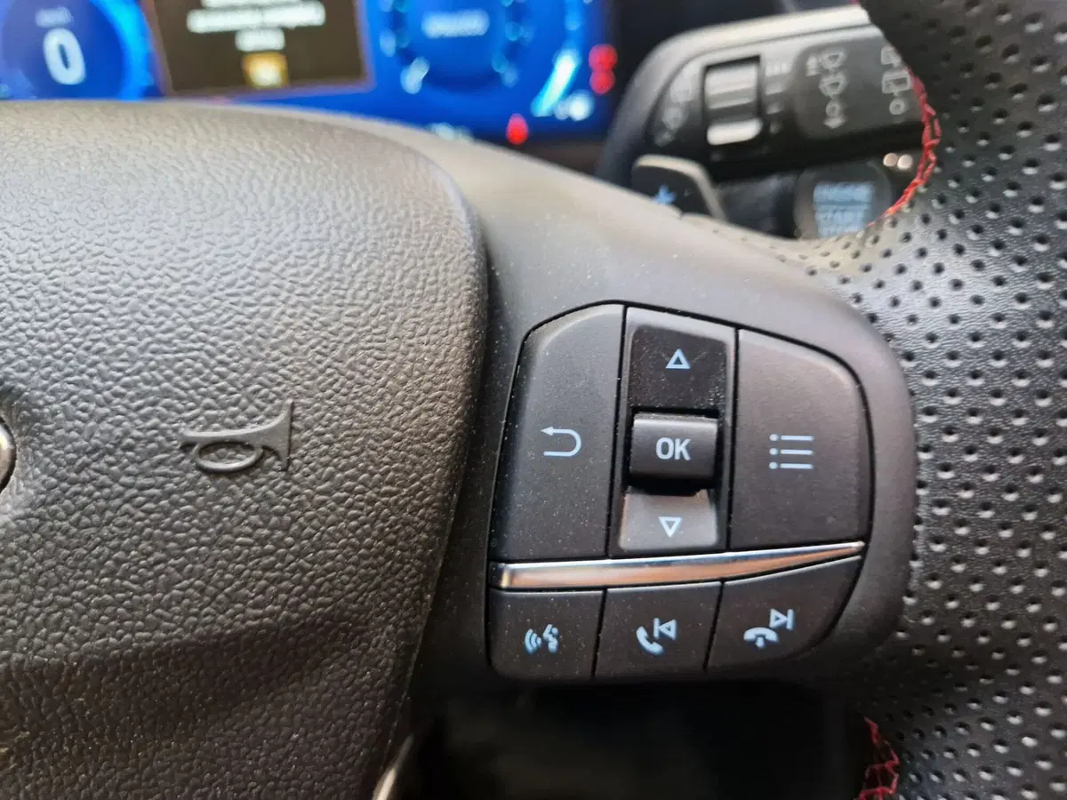 Ford Puma usata a Varese (13)