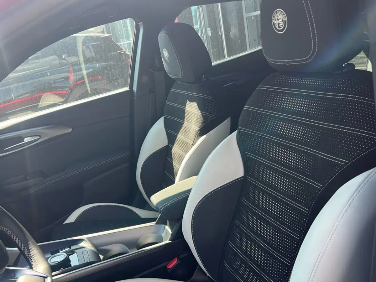 Alfa Romeo Tonale nuova a Frosinone (11)