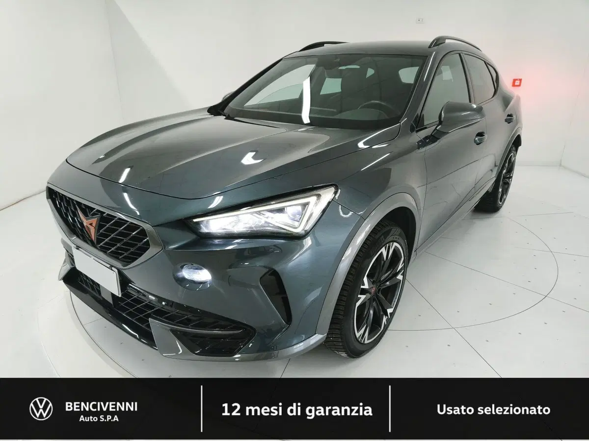 Cupra Formentor usata a Catanzaro