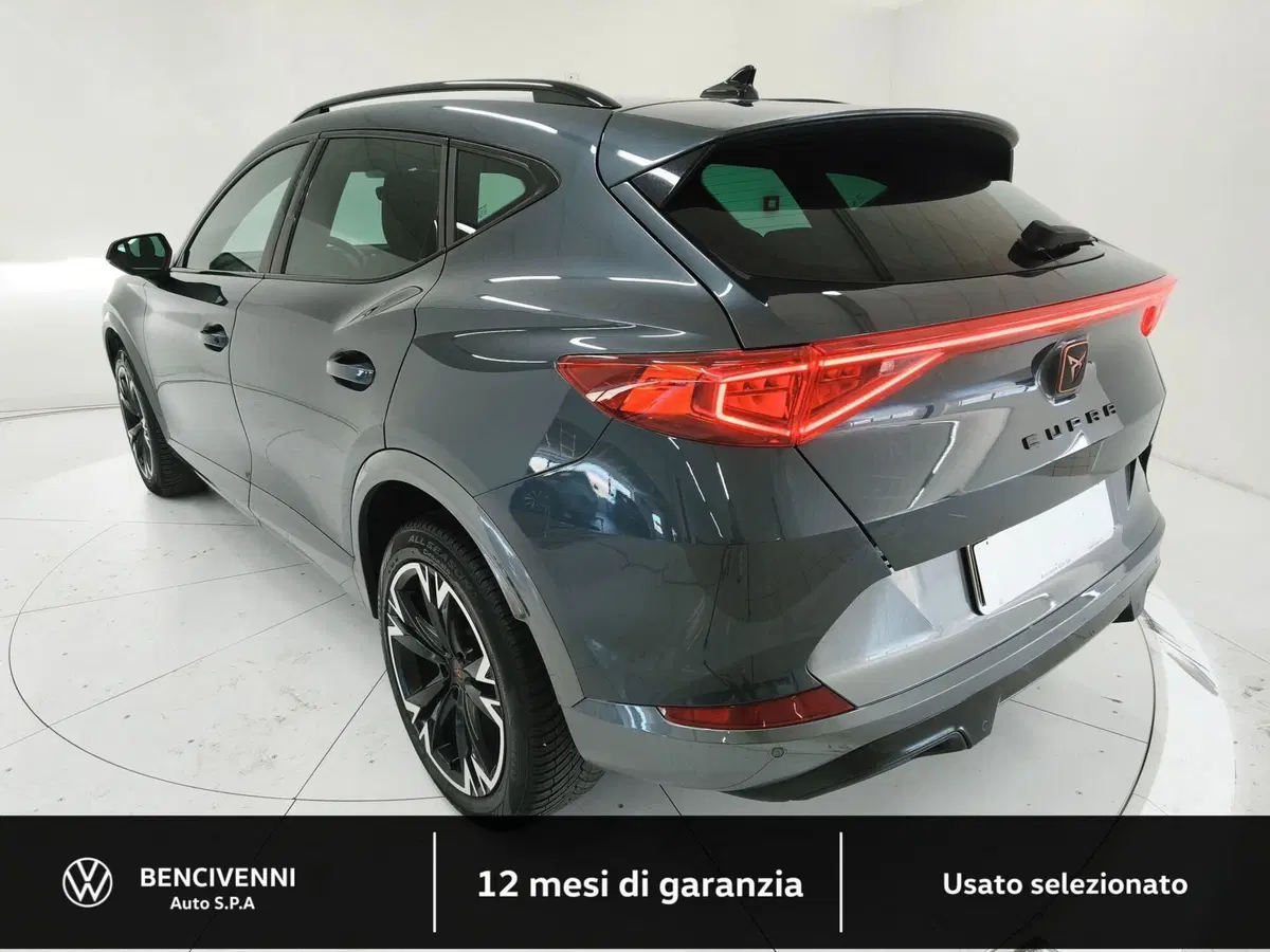 Cupra Formentor usata a Catanzaro (10)