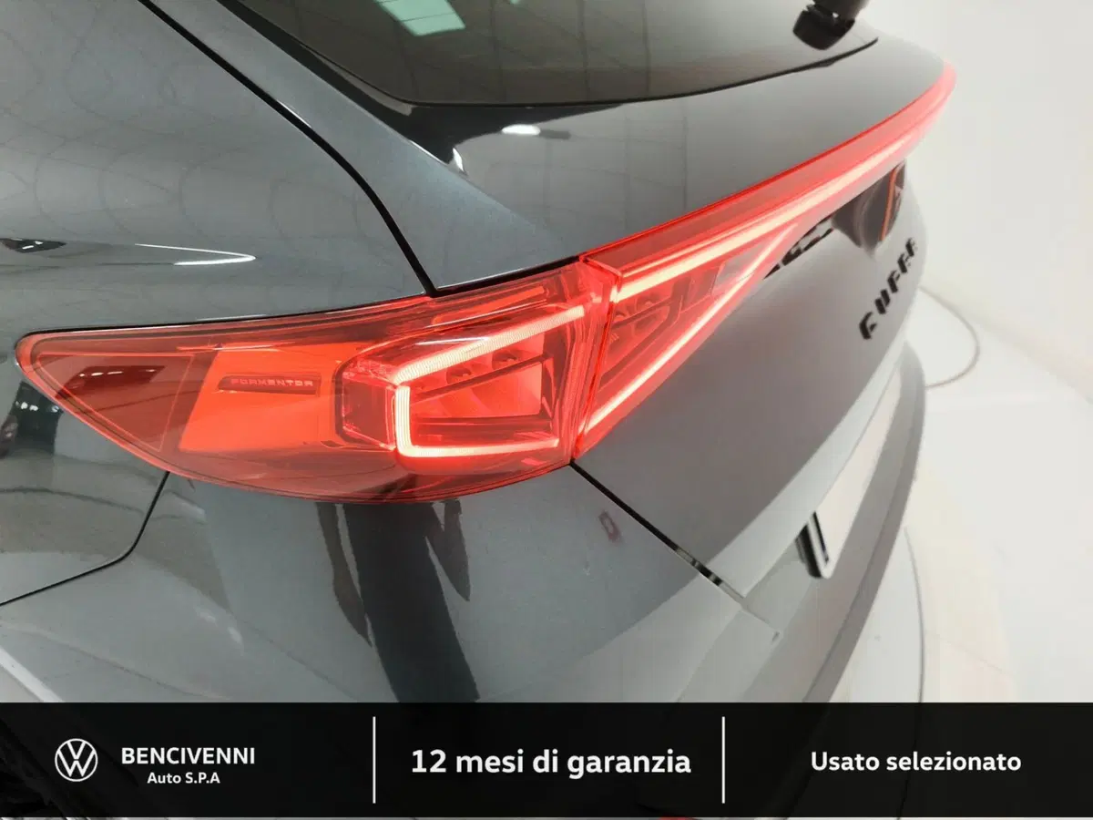 Cupra Formentor usata a Catanzaro (11)