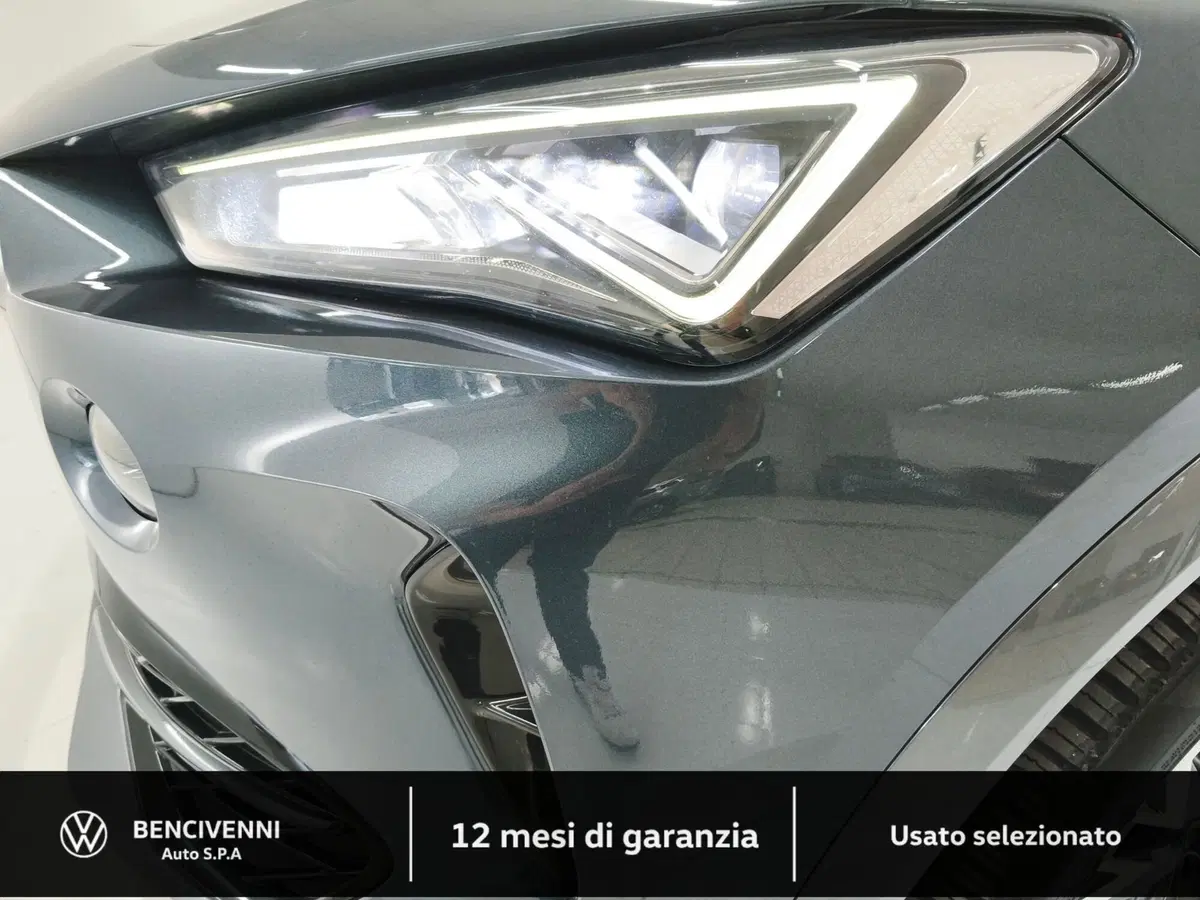 Cupra Formentor usata a Catanzaro (13)