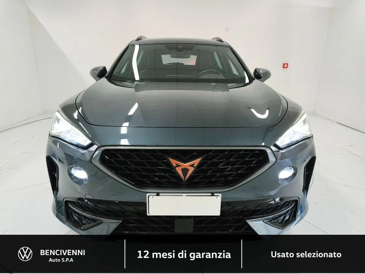 Cupra Formentor usata a Catanzaro (2)