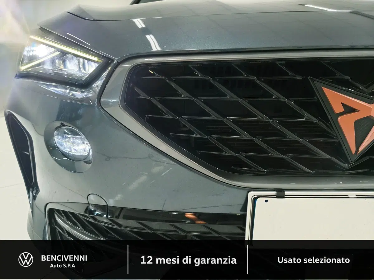 Cupra Formentor usata a Catanzaro (3)