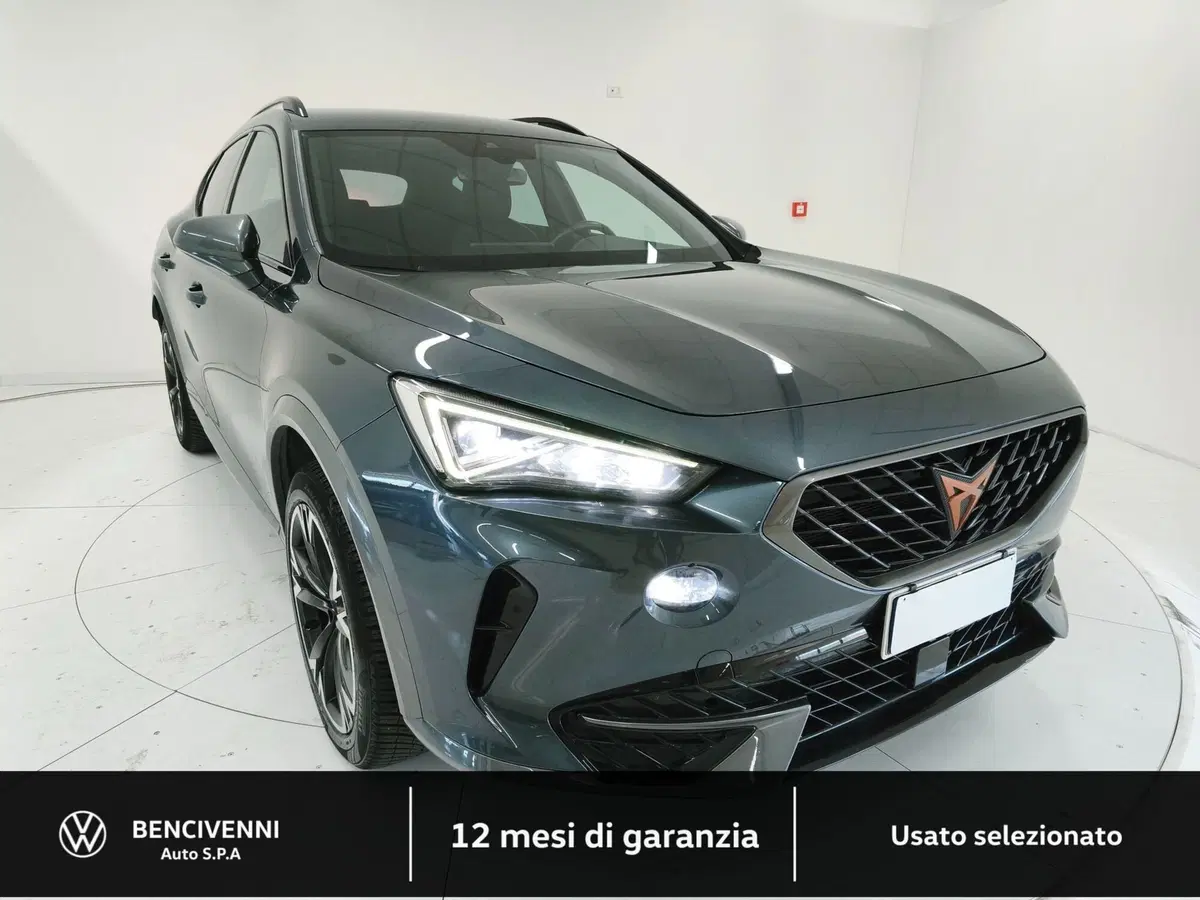 Cupra Formentor usata a Catanzaro (4)