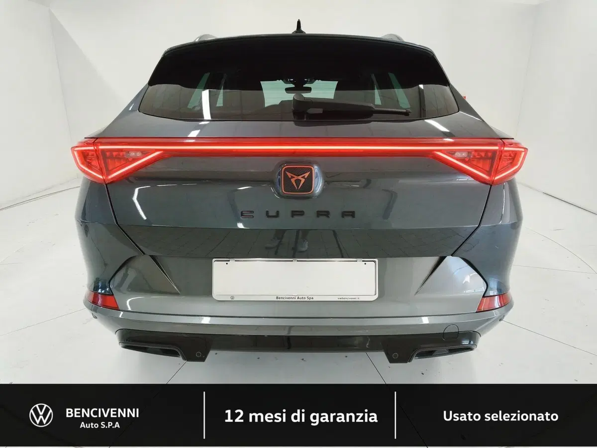 Cupra Formentor usata a Catanzaro (9)