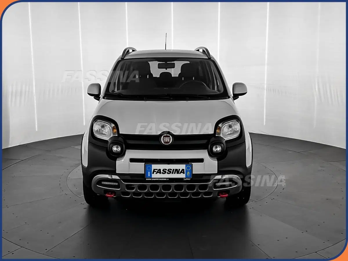 Fiat Panda Cross usata a Milano (2)