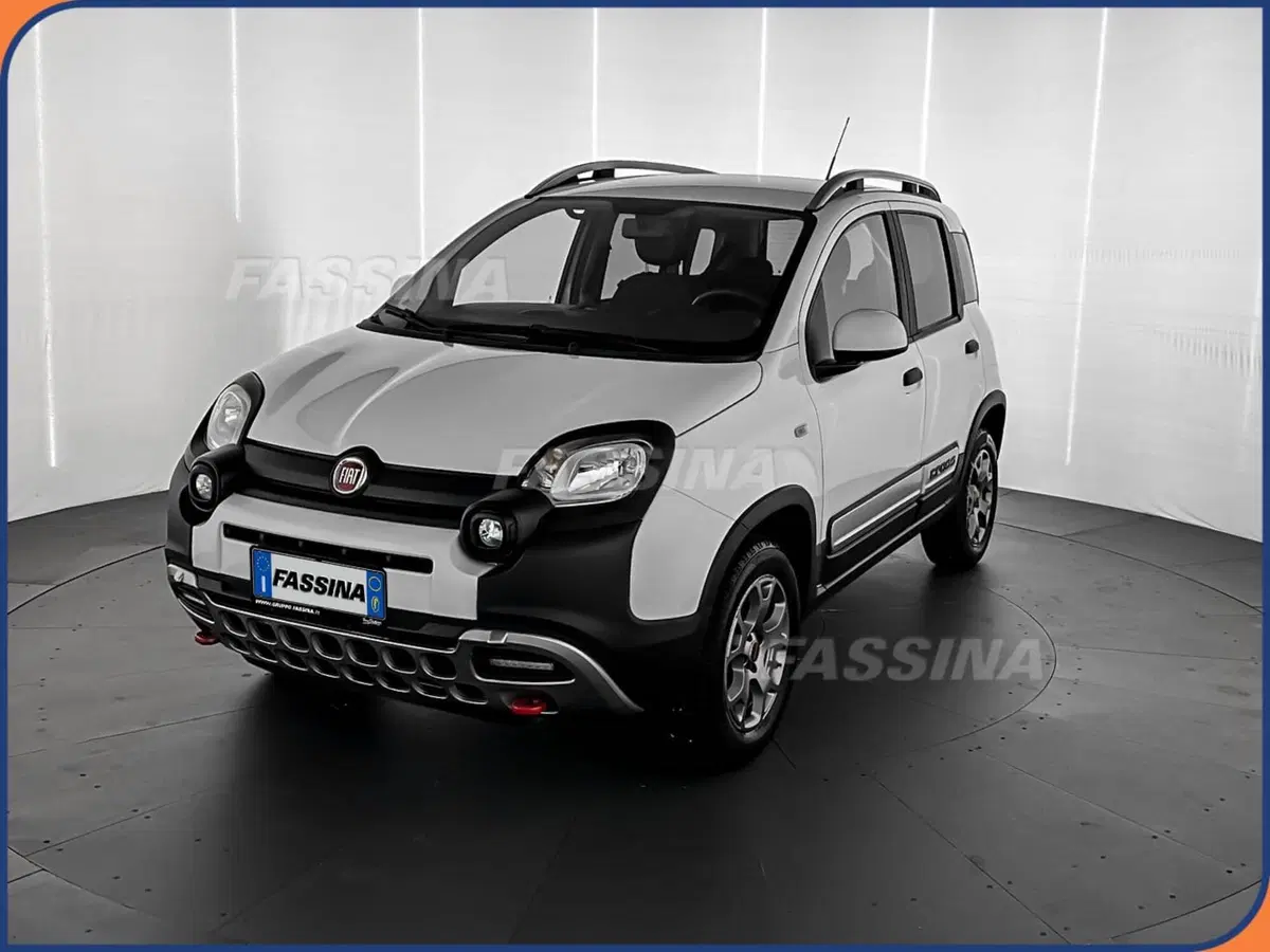 Fiat Panda Cross usata a Milano (3)