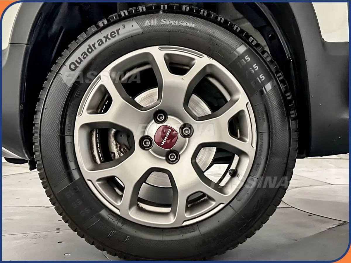 Fiat Panda Cross usata a Milano (7)