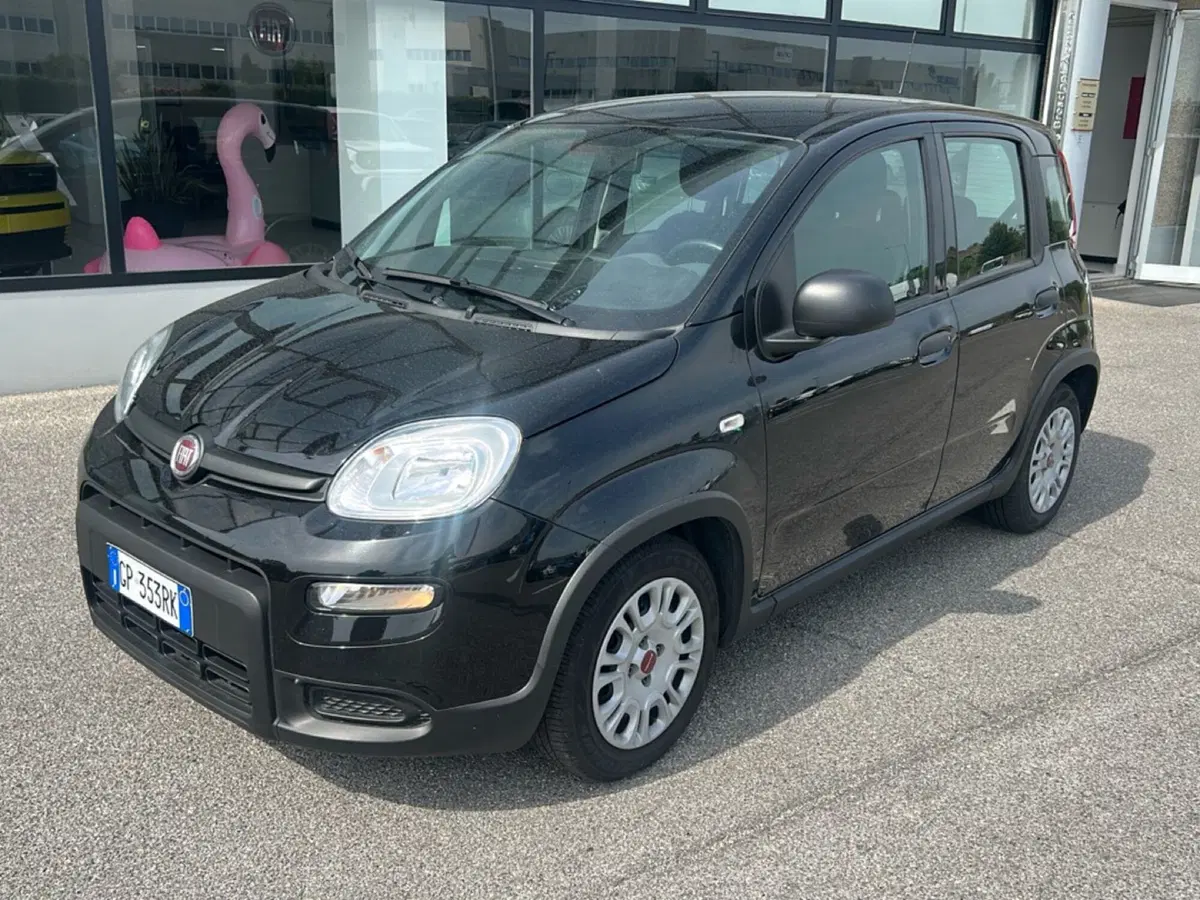 Fiat Panda usata a Bergamo