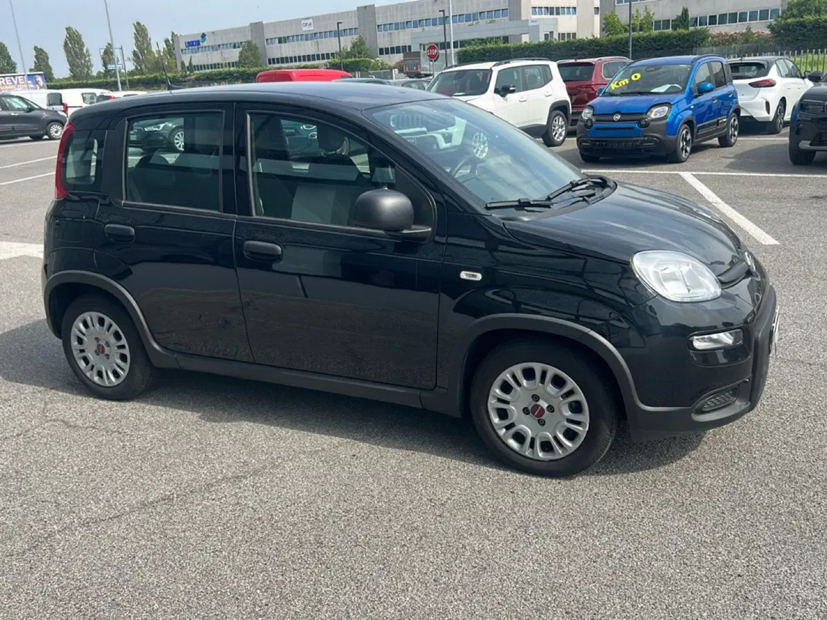 Fiat Panda usata a Bergamo (6)
