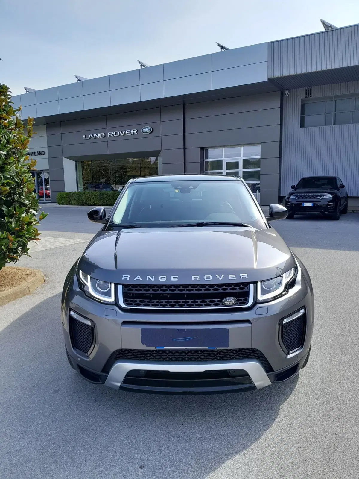 Land Rover Range Rover Evoque usata a Cuneo (2)