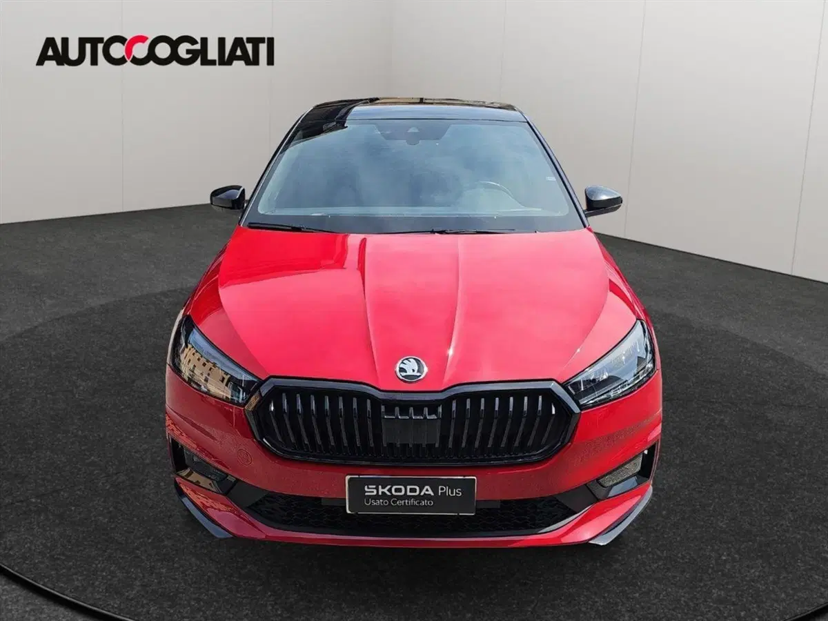 Skoda Fabia usata a Lecco (2)