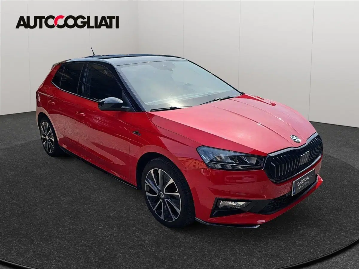 Skoda Fabia usata a Lecco (3)