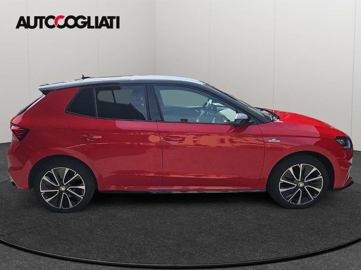 Skoda Fabia usata a Lecco (4)