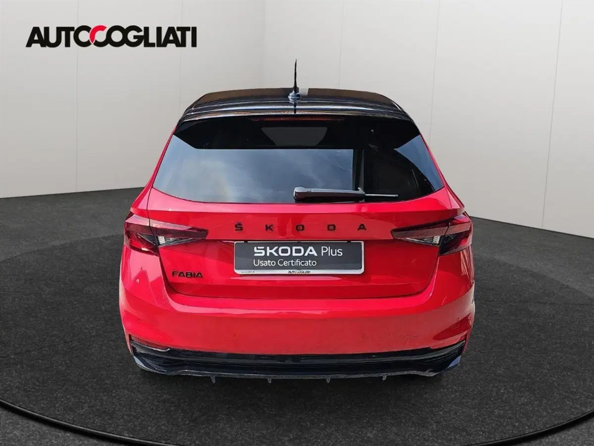 Skoda Fabia usata a Lecco (6)