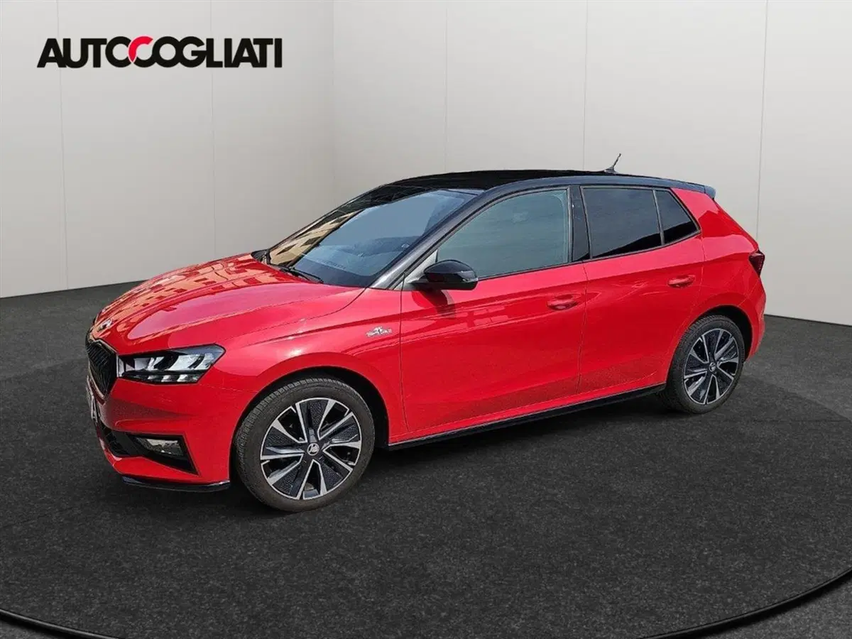 Skoda Fabia usata a Lecco (7)