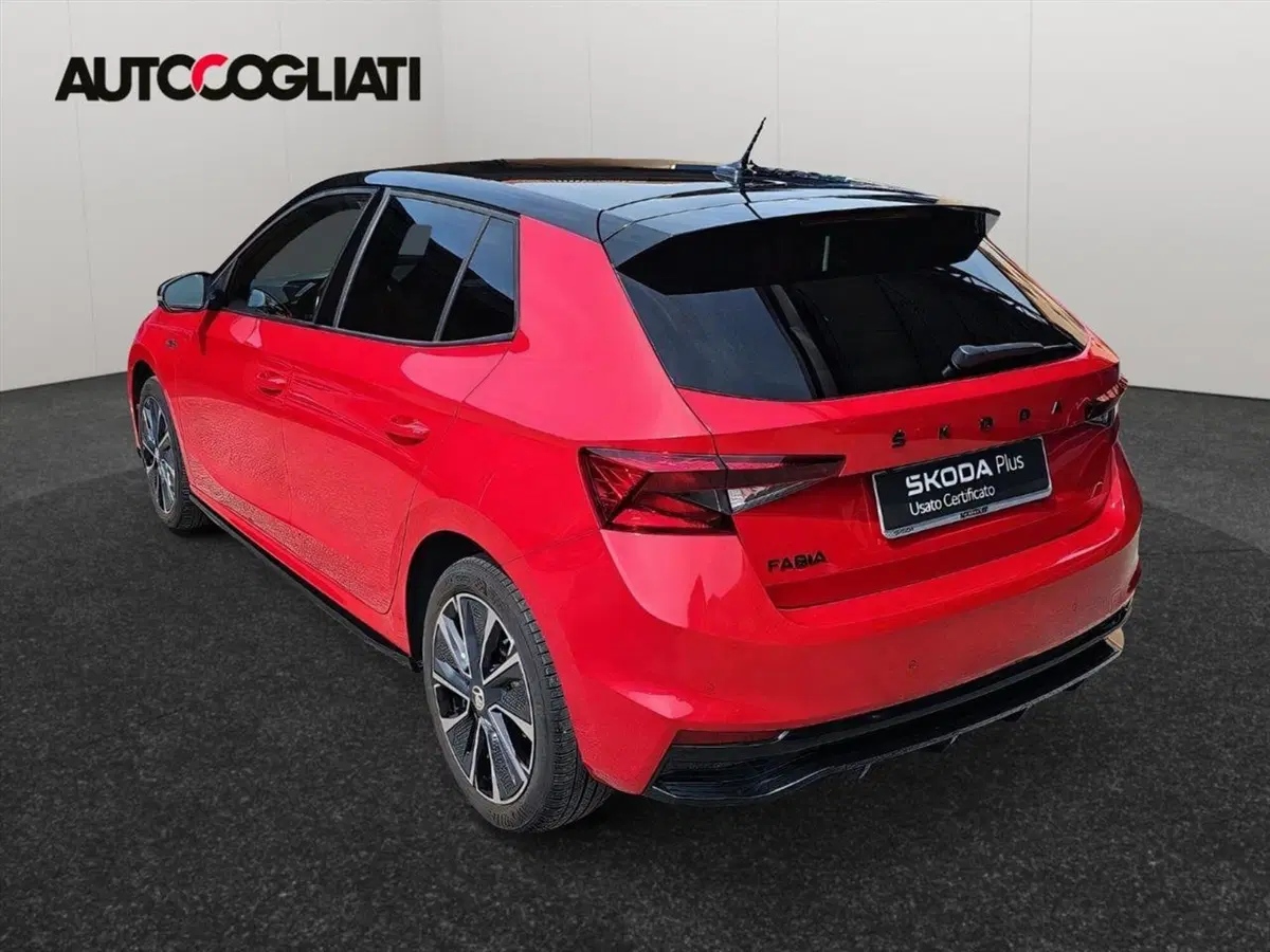 Skoda Fabia usata a Lecco (8)