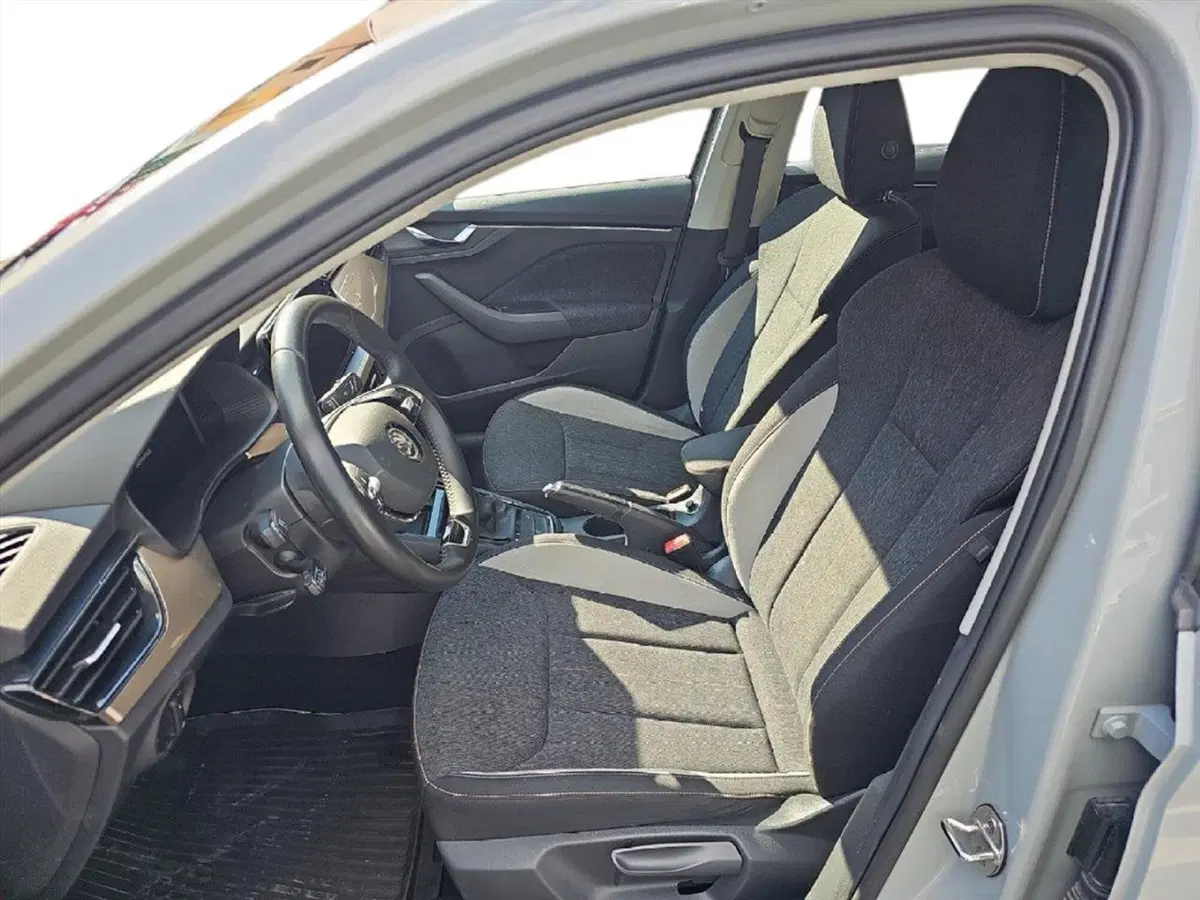 Skoda Scala usata a Lecco (11)