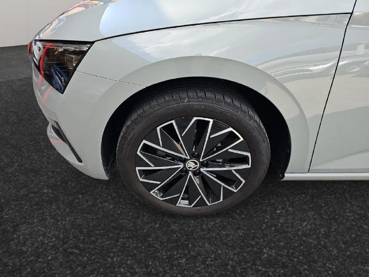 Skoda Scala usata a Lecco (17)