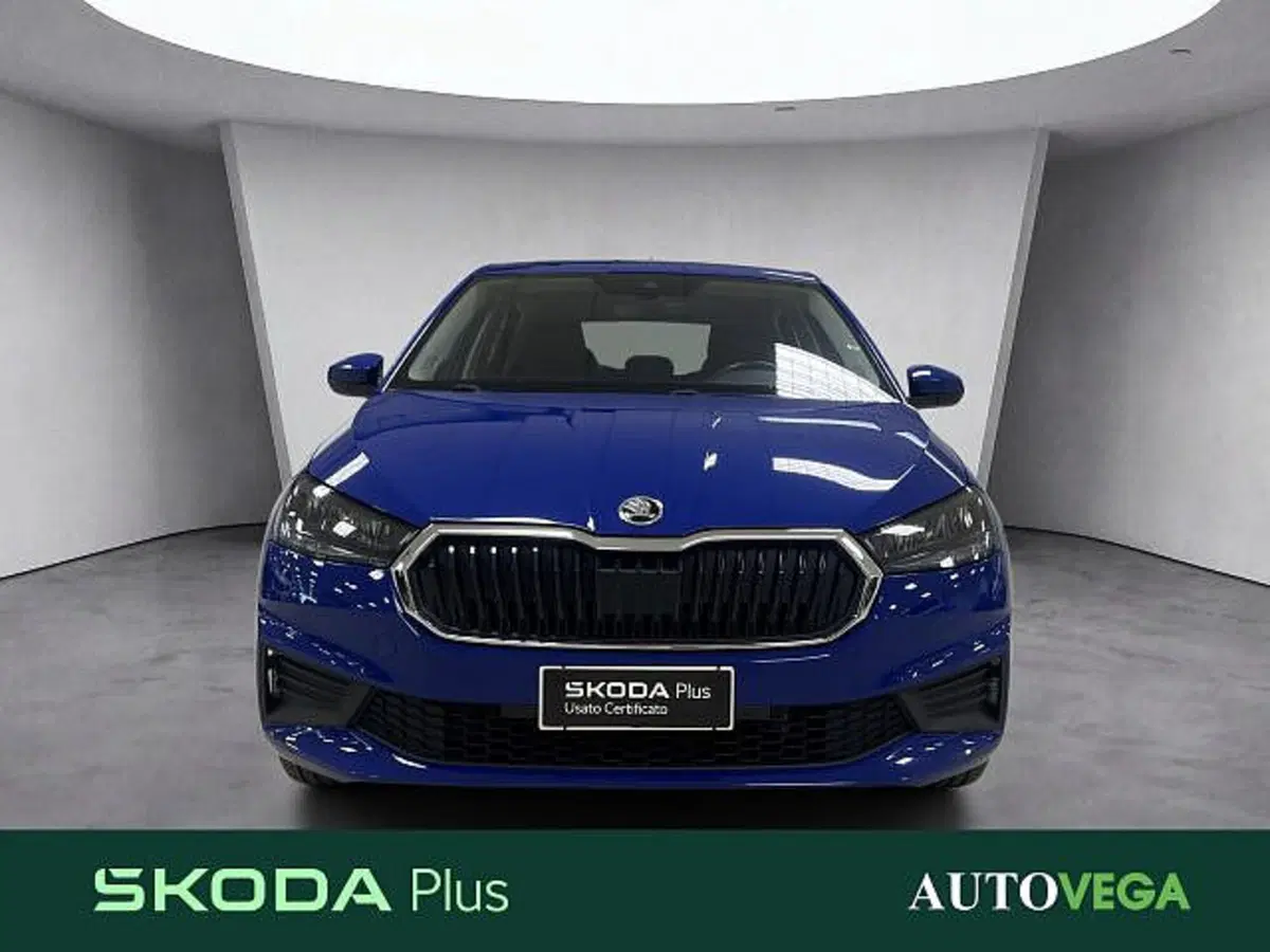 Skoda Fabia usata a Vicenza (3)
