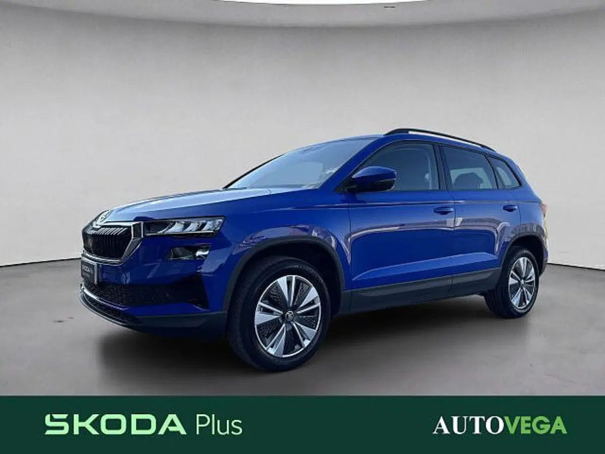 Skoda Karoq usata a Vicenza