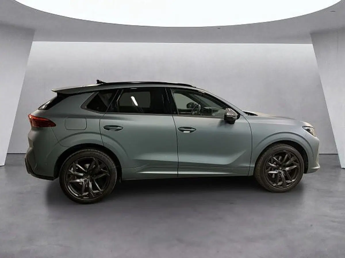 Cupra Terramar usata a Vicenza (3)
